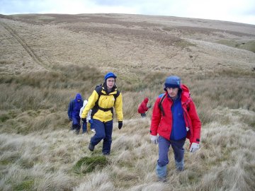 In the Rough